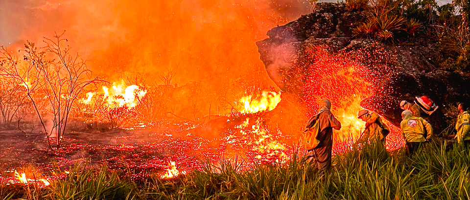 Brigada de Incendio